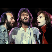 The Bee Gees The Bee Gees